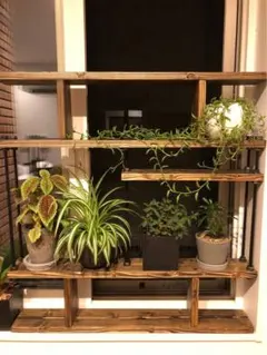 【植物育成棚】IKEAラック×GEXパワーX 3基搭載（アガベ・塊根植物用） 植物育成棚】IKEAラック×GEXパワーX 3基搭載（アガベ・塊根植物用