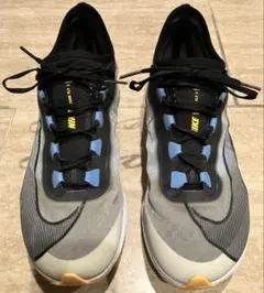 Item thumbnail for item 519bd03d-5fe0-4ac1-97df-162eddba4dfc