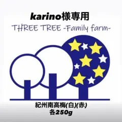 karino様専用 紀州南高梅 (白)(赤)L、2L混合、家庭用訳あり各250g