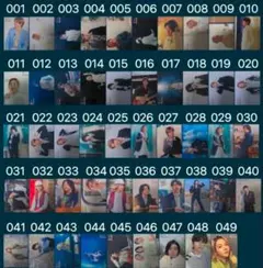 Mrs. GREEN APPLE@対バンフォトカ