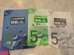 中学受験 新演習 小5 全教科 上下 - メルカリ