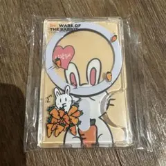 SUPER JUNIOR ソウルコン ウニョク キャラクターチケットホルダー