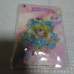 プリパラ　アクリルチャーム　みれぃ　南みれぃ