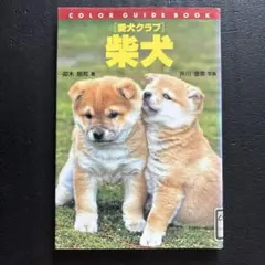 柴犬