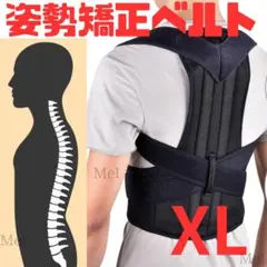 姿勢矯正ベルト XL サポーター 肩こり　ダイエット　腰痛　猫背矯正ベルト