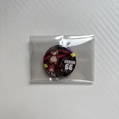 ONE PIECE ワンピース　ジェルマ66 レイジュ　コンプリート　缶バッジ