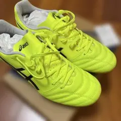 asics DS LIGHT PRO 2 LIMITED 28cm - メルカリ