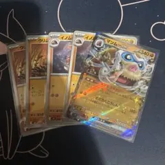 ポケモンカード　マンムーex　進化ライン