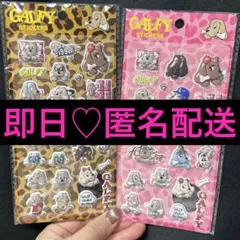 ♡即日・匿名配送♡ GALFY ステッカー シール セット