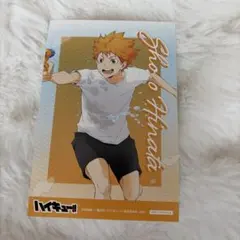 ハイキュー 日向翔陽 ブロマイド