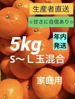 ⑤【混合】紅マドンナ　同品種　愛果28号　　まどんな　5kg