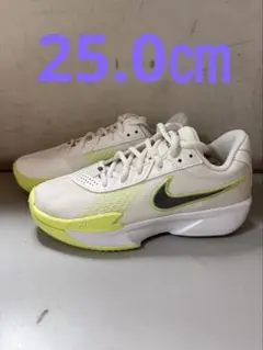 AIRZOOM G.T.CUT ACADEMY EP 106カラー 25.0㎝