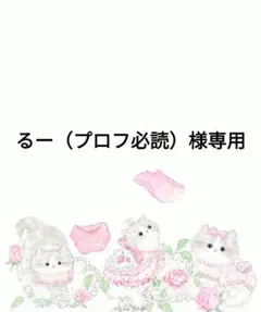 2025年最新】プロフ必読様専用の人気アイテム - メルカリ