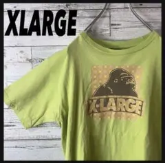 「超希少!!」XLARGE エクストララージ 人気色 ビックロゴ Tシャツ