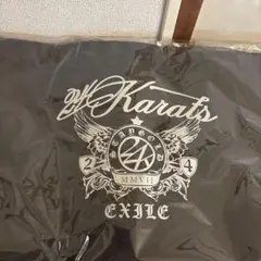 EXILETHEREASON 24karts BIGトートバッグ