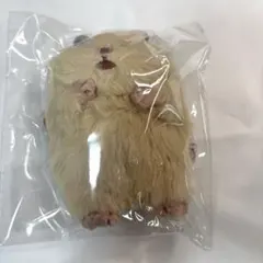 新品 未開封 はむにぎり きなこ 本体 りぶはあと ぬいぐるみ【ハム5】