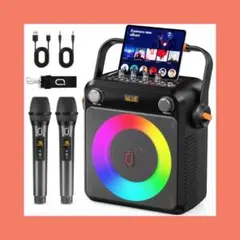 K9-M カラオケ ワイヤレスマイク2本付き - メルカリ