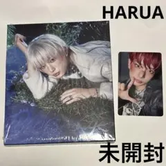 &TEAM Back to Life HARUA Weverse 特典トレカ 付