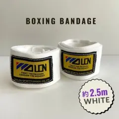 Item thumbnail for item f39d387b-74e4-40d4-ac3b-0b18e8617c69