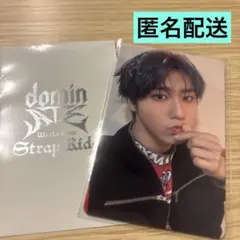 Stray Kids スキズ ハン トレカ dominATE 購入特典