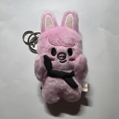 Stray Kids SKZOO トゥエッキ チャンビン 10cm ぬいぐるみ StrayKids チャンビン トエッキ 10cm ぬいぐるみ マジックスクール