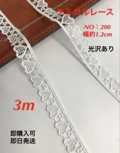 Item thumbnail for item f76af14d-e4be-4b2a-8f8c-97ef8a63b331