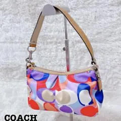 COACH コーチ かごバッグ ターンロック 花 蜂 ハンドバッグ 刺繍 レザー COACH コーチ かごバッグ ターンロック 花 蜂 ハンドバッグ 刺繍