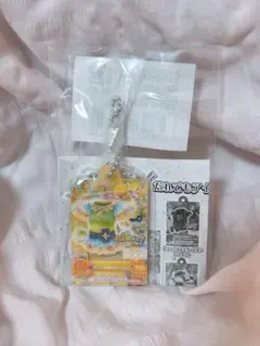 アイカツ！ だれでもアイドル活動アクリルチャーム 冴草きい