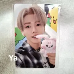 2025年最新】ジェミン ぬいぐるみの人気アイテム - メルカリ