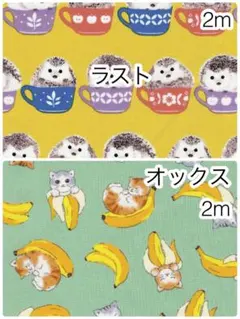 まさとも様 リクエスト 2点 まとめ商品