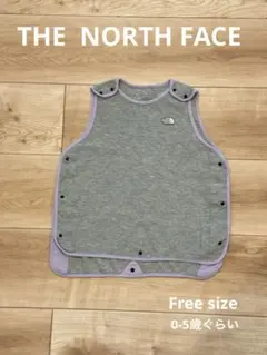 THE NORTH FACE ベビースリーパー グレー/パープル