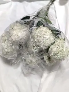 スモークツリー　アーティフィシャルフラワー　造花　花材　リース スワッグ