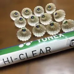 Item thumbnail for item 130e9642-ce16-421b-92ae-9bbc49cce499