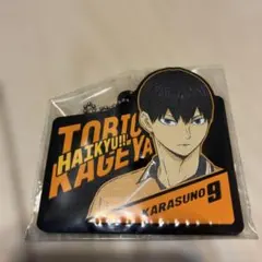 ハイキュー 一番くじH賞 影山飛雄