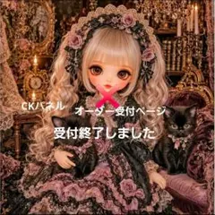 レアパネル生地 オーダー受付ページ 猫 ハンドメイド ポーチ ハンカチ