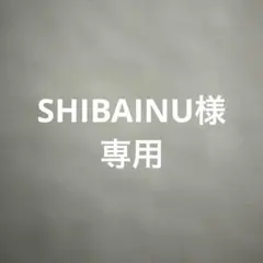 iPad Pro (第5世代) 12.9インチSHIBAINUさん専用