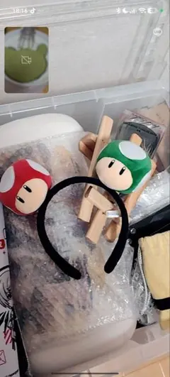 きのこっのこ