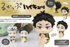 【新品未開封】赤葦京治 るかっぷ　ユニフォームver. ハイキュー