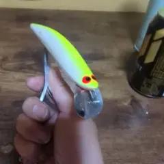 2026年最新】ヨルマルミノーの人気アイテム - メルカリ