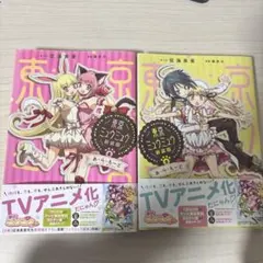 Item thumbnail for item 9f91b0cb-482a-4a3f-adb8-e88126a8ffea