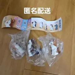 かず様 リクエスト 2点 まとめ商品