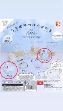 うちの子のけだまだま　犬　チワワ　黒　白　2個セット　限定アソート