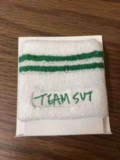 SEVENTEEN ディノ リストバンド