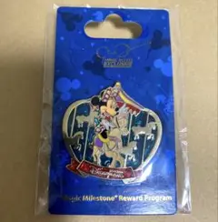 香港ディズニーランド　ピンバッジ　ピンバッチ