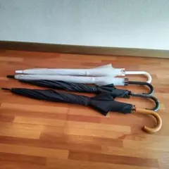 Item thumbnail for item a422a914-37af-4459-a872-c5dfe178b92b