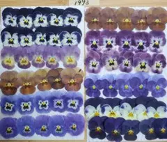 yuu様 リクエスト 2点 まとめ商品