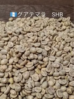 【生豆2種】グアテマラSHB 200g & ブラジルサントスNo.2 200gのサムネイル