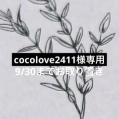 cocolove2411様 リクエスト 3点 まとめ商品