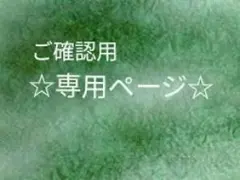 ☆専用ページ☆　まっしー。様