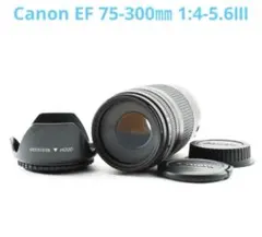 2026年最新】Canon LENS EF 75-300mm 1:4-5.6の人気アイテム - メルカリ